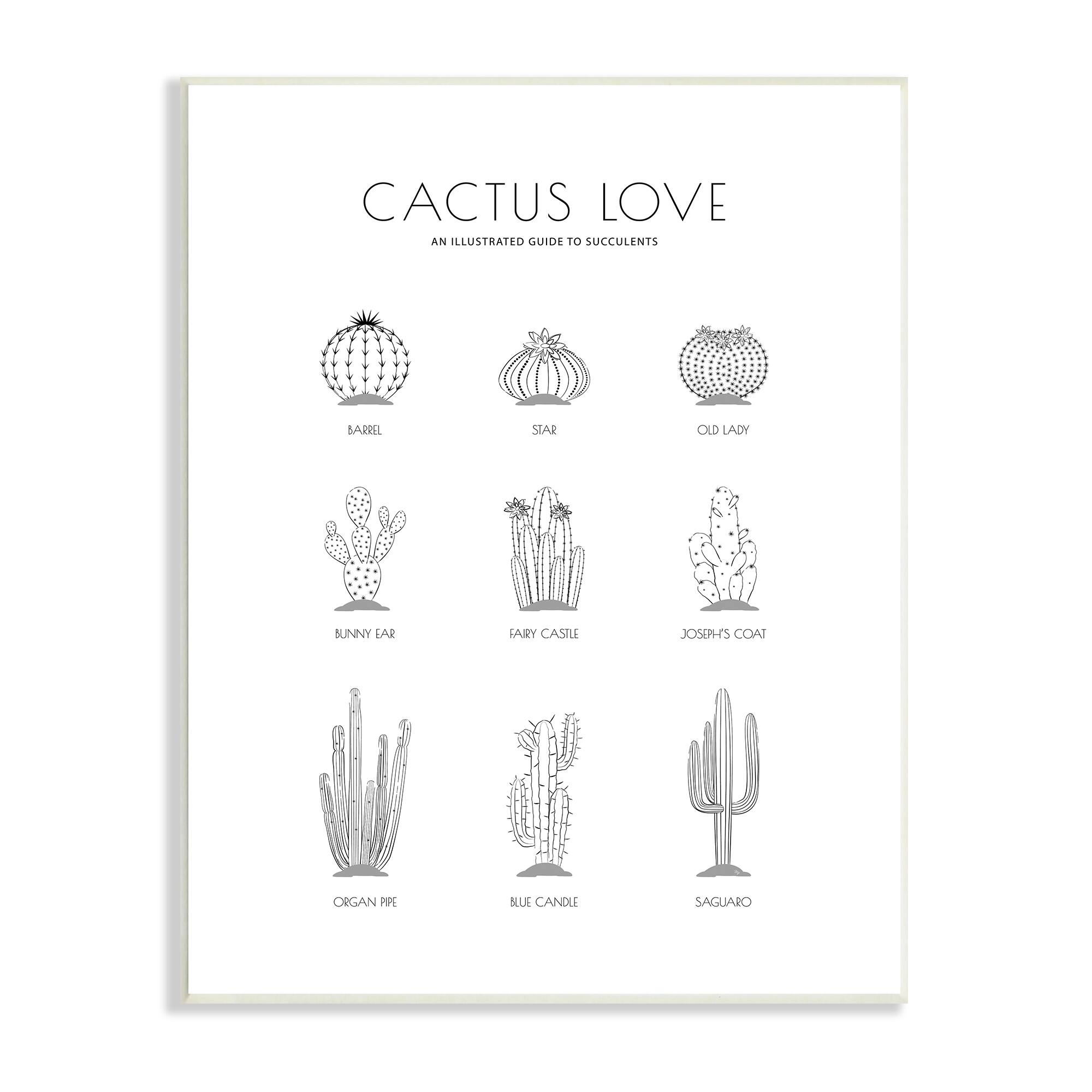 Stupell Industries Illustrated Guide to Succulents Minimal Modern Cactus Plant Wall Plaque